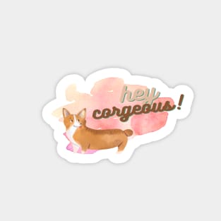 Hey Corgeous! Watercolour corgi dog Sticker